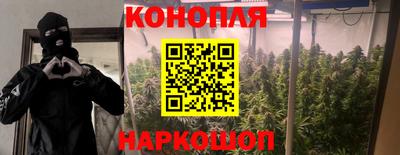 наркотики Новодвинск