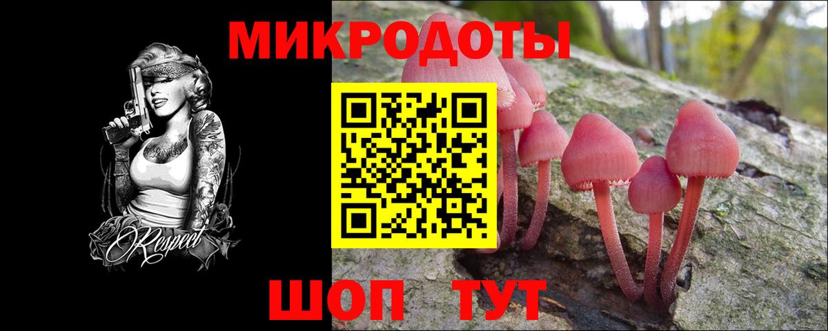 Псилоцибиновые грибы мицелий Фролово
