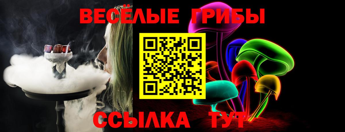 Фролово  Псилоцибиновые грибы GOLDEN TEACHER  Вход с VPN  Галлюциногенные грибы GOLDEN TEACHER 