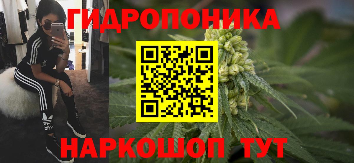Бошки Шишки OG Kush  Вход с VPN  Бошки марихуана семена  Бошки Шишки Bruce Banner  Фролово 